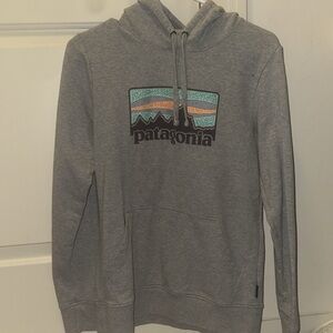 Grey Patagonia Fleece Hoodie Women’s Small